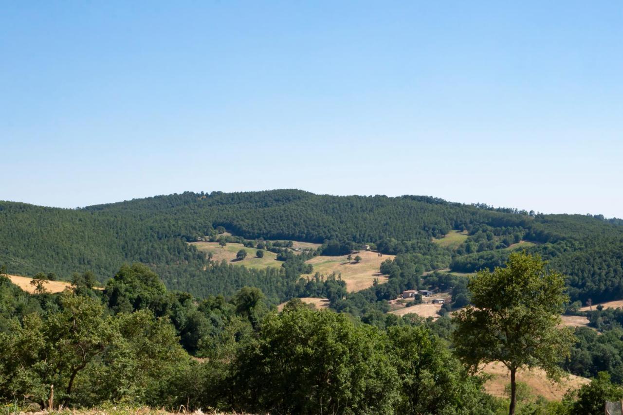 Tenuta San Lodovico Glamping *