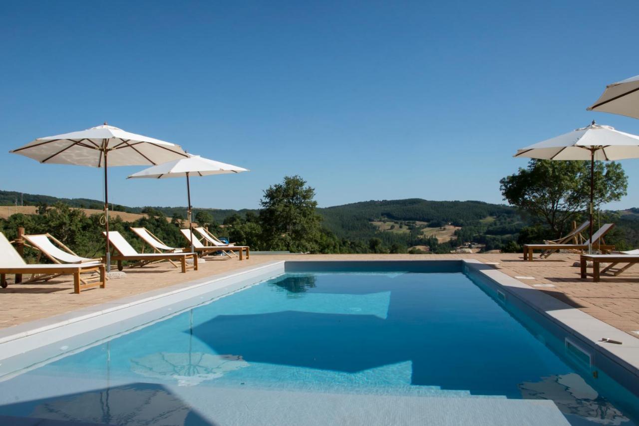 Tenuta San Lodovico Scansano